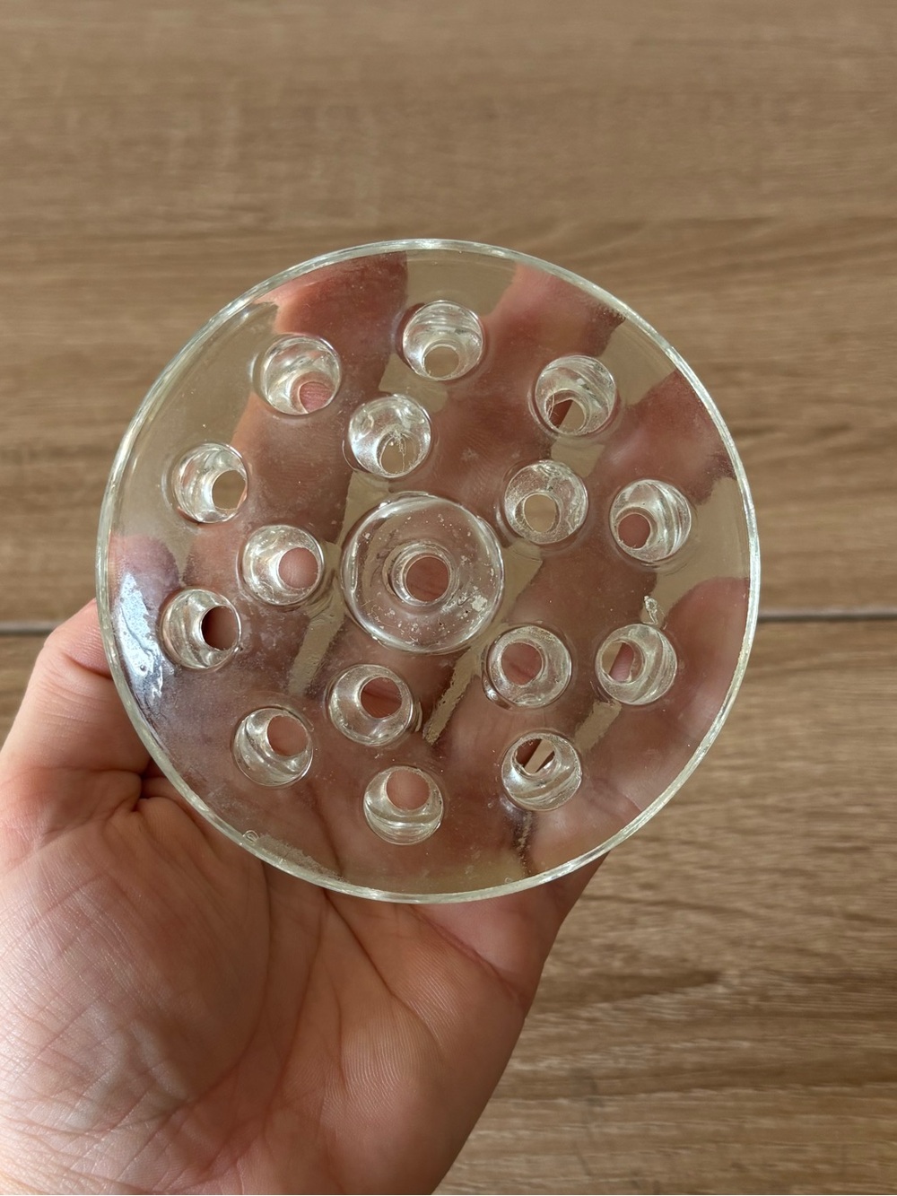 Clear Glass Flower Frog Frogmonger - Circular Multi-hole Flower Arranger